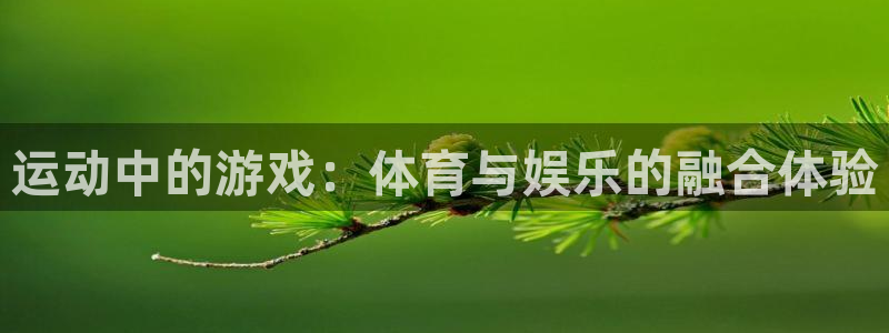 中山熊猫体育：运动中的游戏：体育与娱乐的融合体验