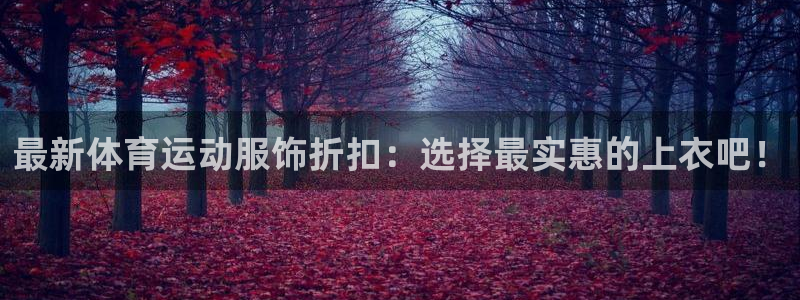 成都熊猫体育公园：最新体育运动服饰折扣：选择最实惠的上衣吧！