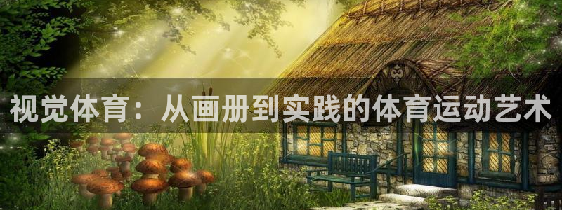 熊猫体育直播：视觉体育：从画册到实践的体育运动艺术