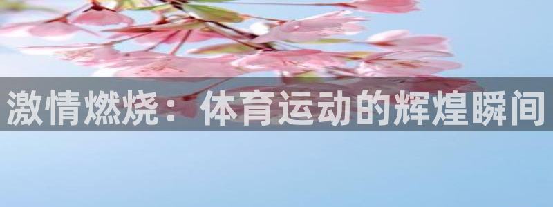 熊猫体育app官方下载最新版：激情燃烧：体育运动的辉煌瞬间