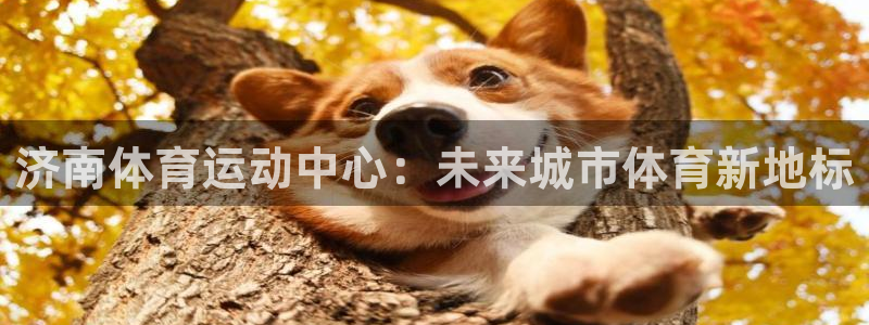 成都熊猫体育公园：济南体育运动中心：未来城市体育新地标