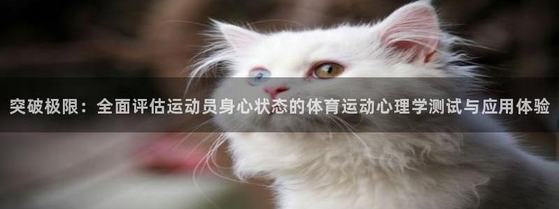 熊猫体育平台：突破极限：全面评估运动员身心状态的体育运动心理学测试与应用体验