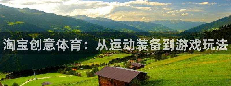 熊猫体育网址：淘宝创意体育：从运动装备到游戏玩法