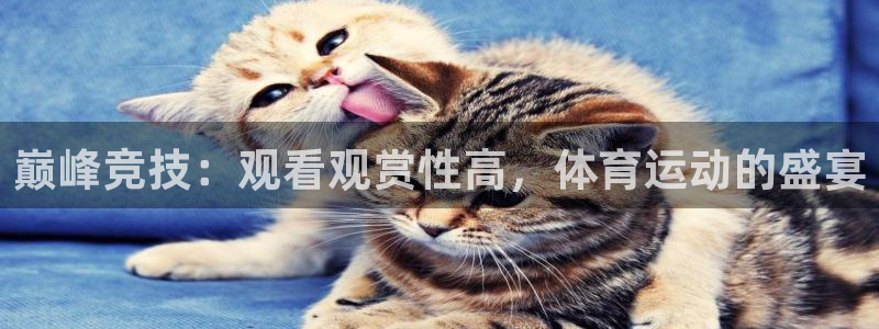 熊猫体育手机版