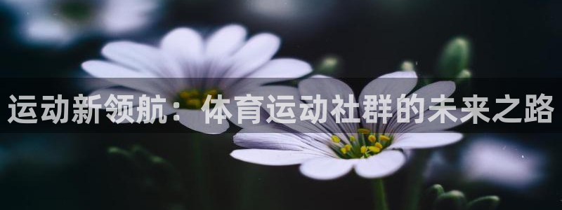 熊猫体育平台官网：运动新领航：体育运动社群的未来之路
