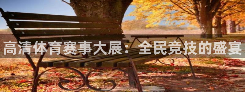 熊猫体育网址：高清体育赛事大展：全民竞技的盛宴