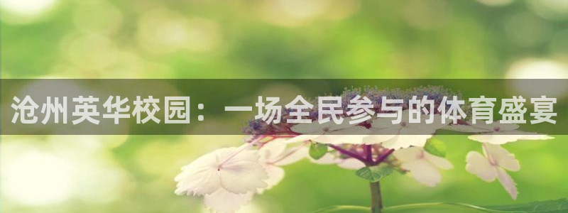 熊猫体育直播nba：沧州英华校园：一场全民参与的体育盛宴