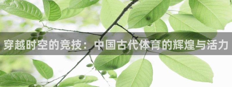 熊猫体育sports