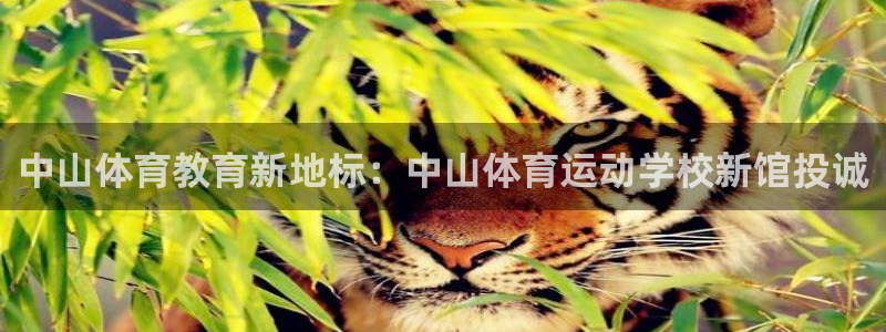熊猫体育手机版下载