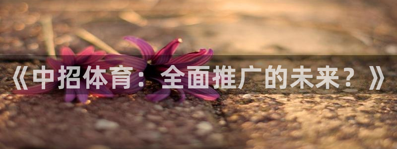 熊猫体育公园价格：《中招体育：全面推广的未来？》